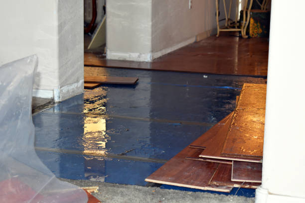 Professional Basement Flood Cleanup technician working in Remus, MI