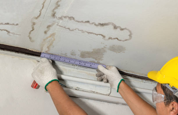 Reliable Basement Flood Cleanup contractor in Remus, MI by Aqua Guard Water Damage